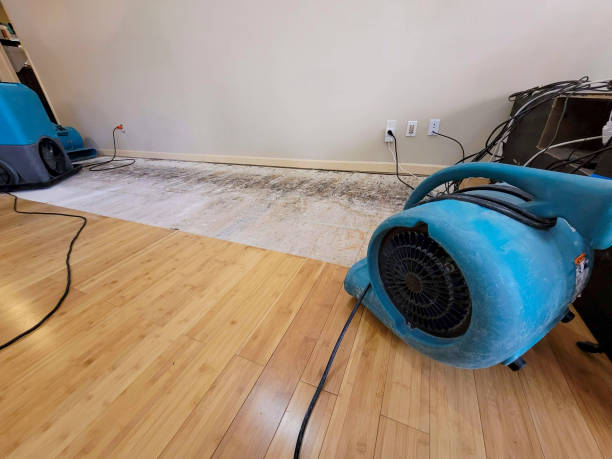 Professional Flood Damage Cleanup technician working in Nickerson, NE
